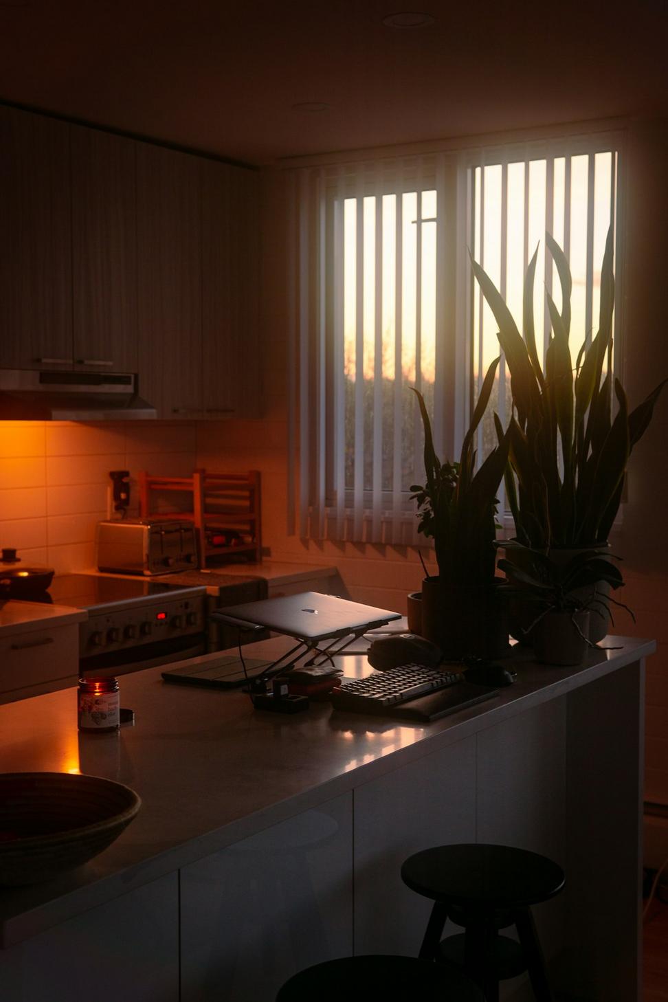 Leslieville Townhouse