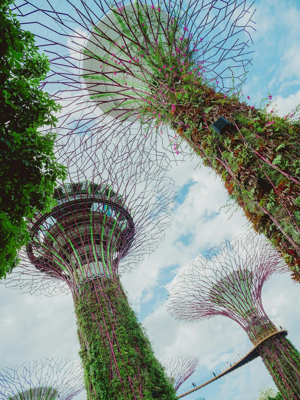 Urban Green Office Complex